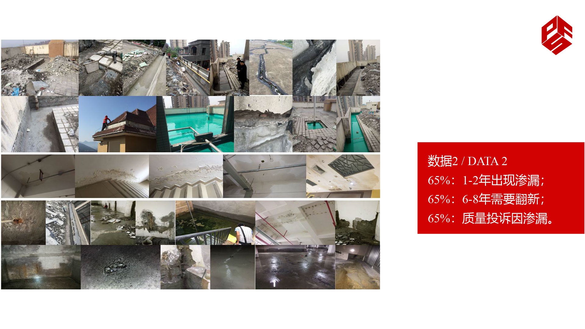 香港六宝曲大全